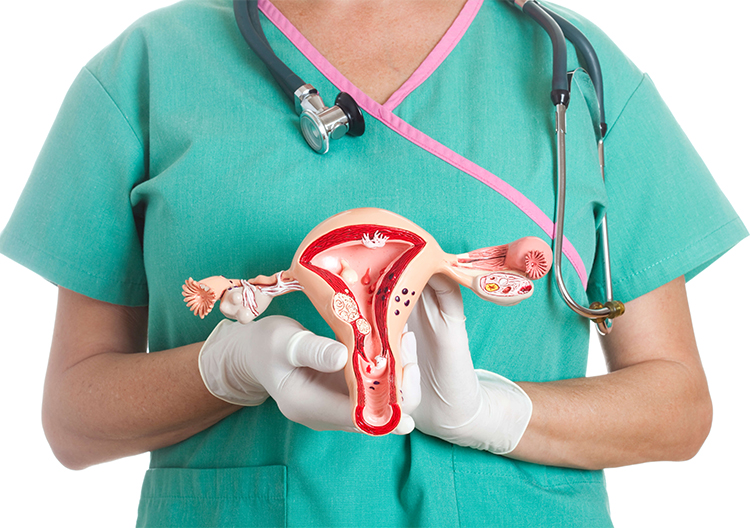 Dr. Harshrika Holkar is renowned as the top Vaginal Hysterectomy Doctor in Thane, Mumbai, offering exceptional expertise and compassionate care to patients.